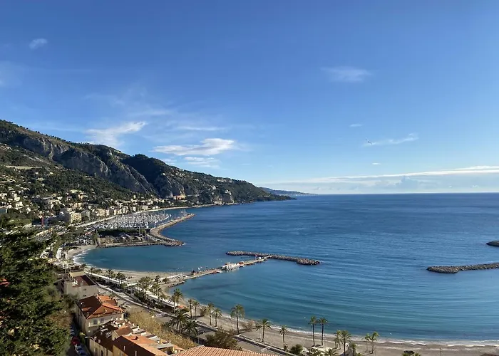 Le Vigia-vue Mer-terrasse-climatisation-parking 公寓