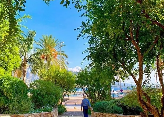 Le Vigia-vue Mer-terrasse-climatisation-parking Menton